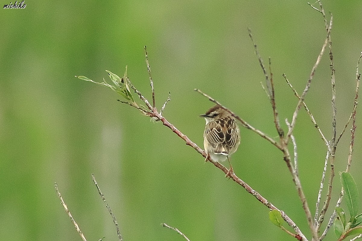 d0352095_20244601.jpg