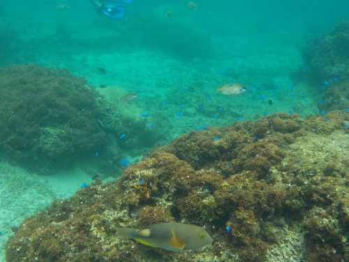 d0074596_23564064.jpg