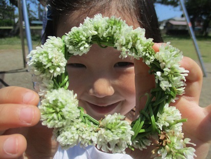 さくら組 園外保育_c0212598_14362477.jpg