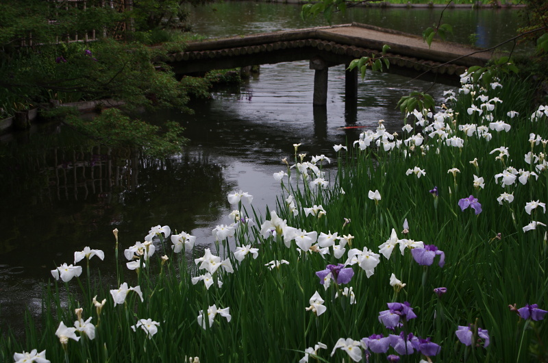 c0382798_16473779.jpg