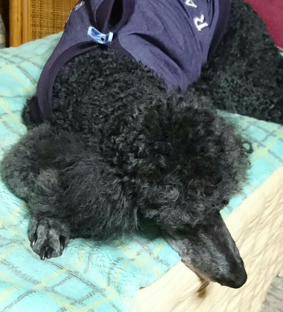 ちょっと心配_f0033598_20074497.jpg