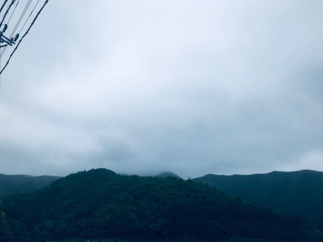 そして京都美山へ~_a0050302_00593091.jpg