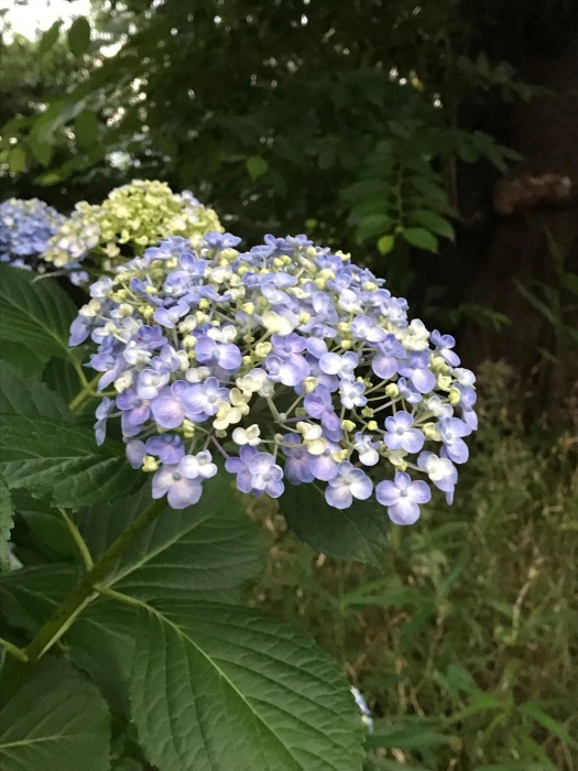 d0248502_11092492.jpeg