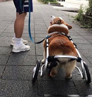 結局こんなカタチで_f0242002_15464598.jpg