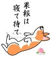 結局こんなカタチで_f0242002_15570730.jpg