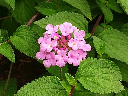 e0289203_09265692.jpg