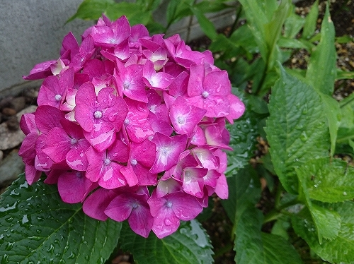 e0289203_09270170.jpg