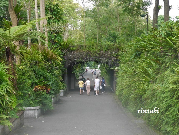 ２０１９年６月　台北　パンダに会いに台北市立動物園_b0205305_15414441.jpg