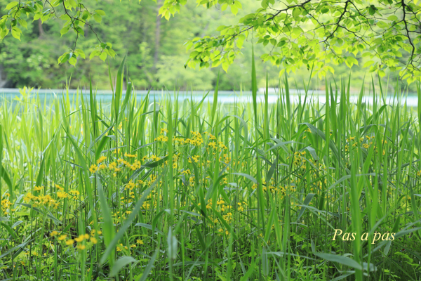 e0308105_22015277.jpg