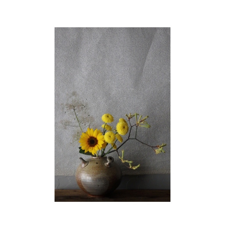煎茶と花 - 花の章 -_f0351305_22522860.jpeg