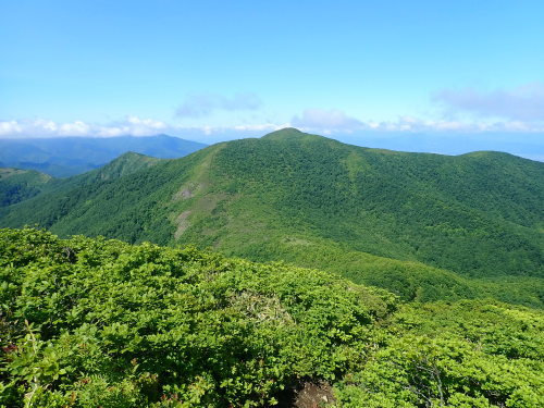 d0342206_19525970.jpg