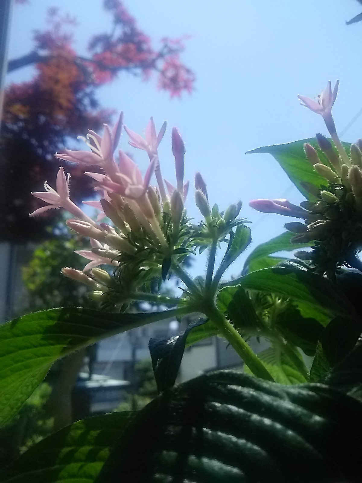 f0024708_18243510.jpg