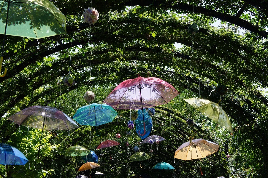 横浜イングリッシュガーデンの紫陽花 オートクチュールの旅日記 横浜イングリッシュガーデンの紫陽花 オートクチュールの旅日記