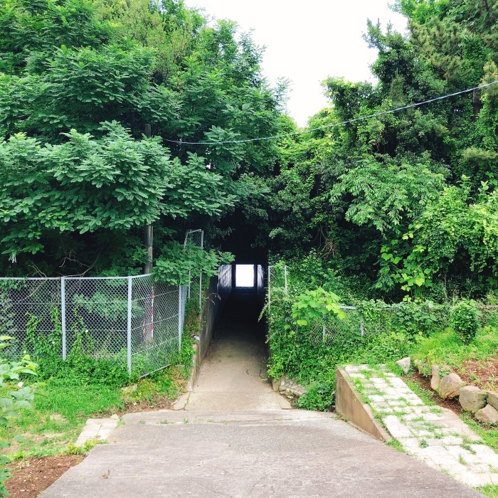 小田原 御幸の浜_d0138811_13582957.jpeg