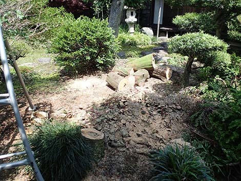 c0192418_08264187.jpg