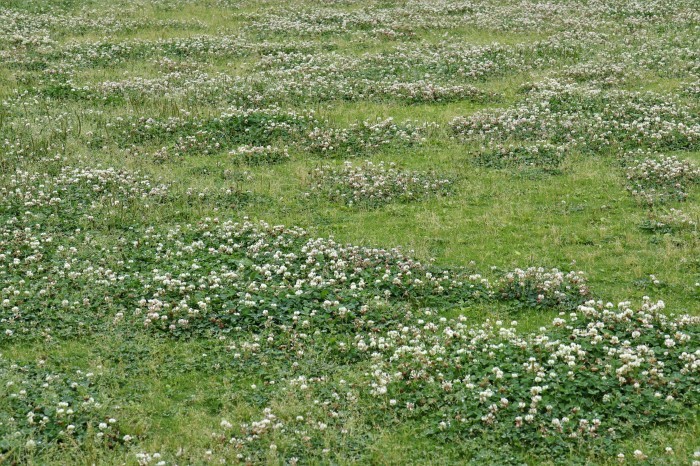 d0150720_15495428.jpg