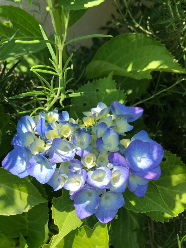 玄関はコチラです_d0086022_18305146.jpg