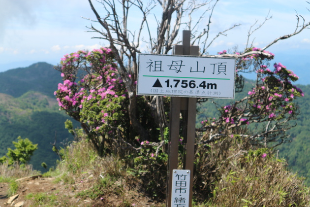 令和元年・祖母山のオオヤマレンゲ！_e0272335_20552049.jpg