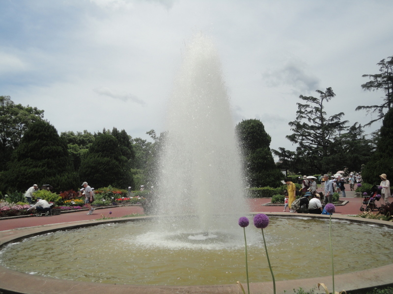 d0359338_15182116.jpg