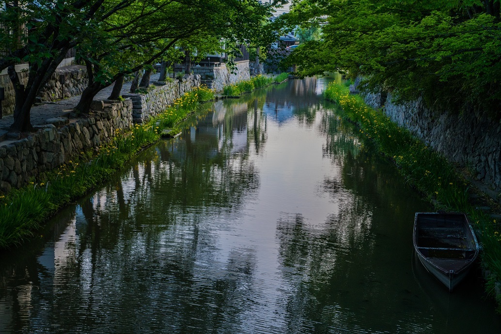 八幡堀～黄菖蒲の咲く頃_e0363038_11192114.jpg