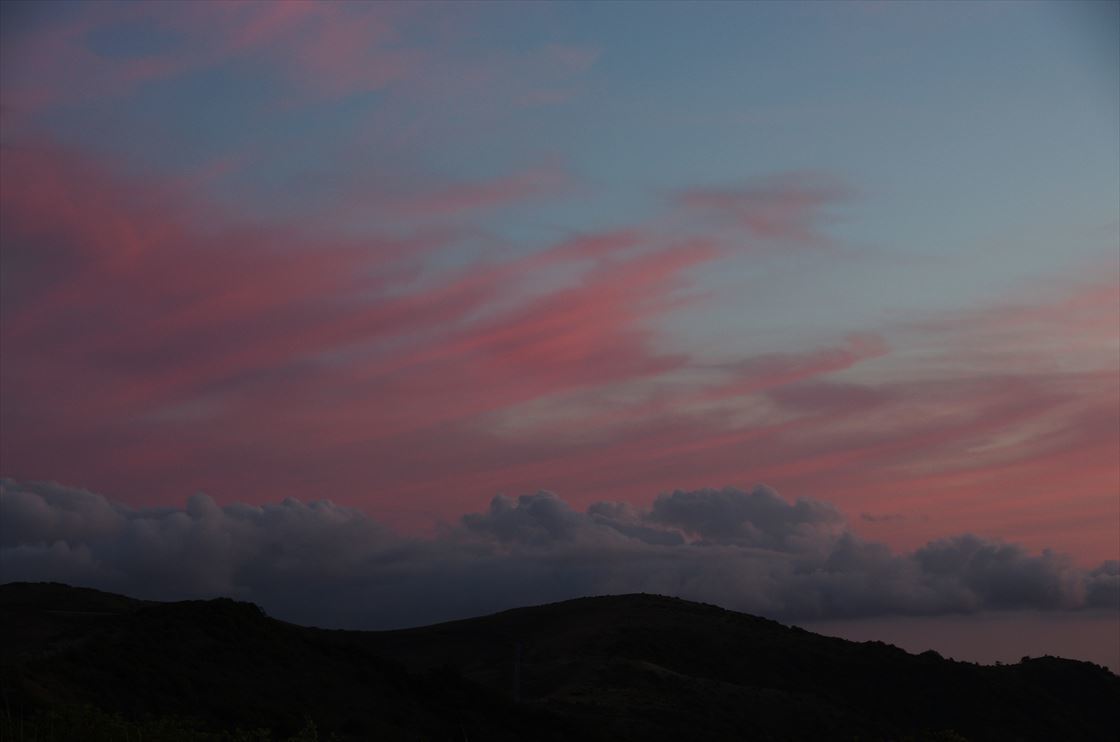 大川嶺の夕暮れと天狗高原の夜明け　　オオヤマレンゲも_a0132039_17394526.jpg