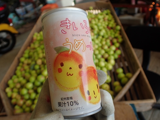 きいろのうめ っぴ 紀南 モグロ農園とff