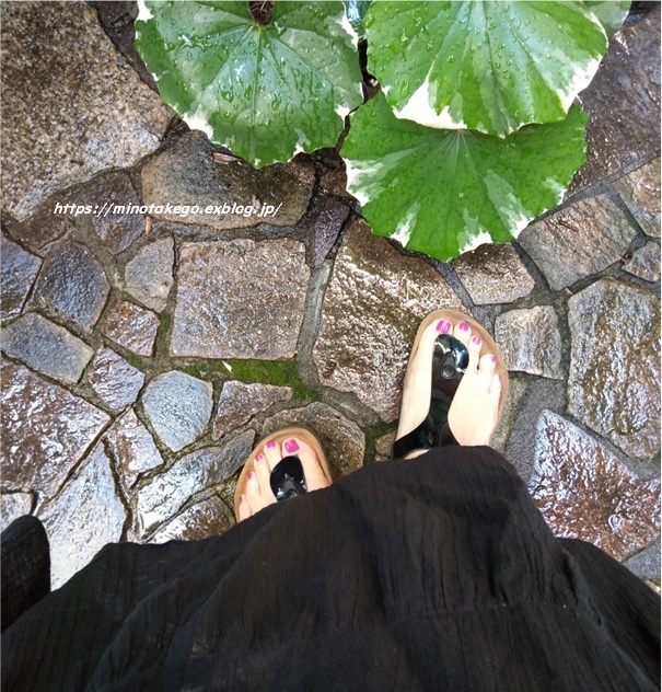夏のセルフケア 心のメンテナンス_e0343145_22191249.jpg
