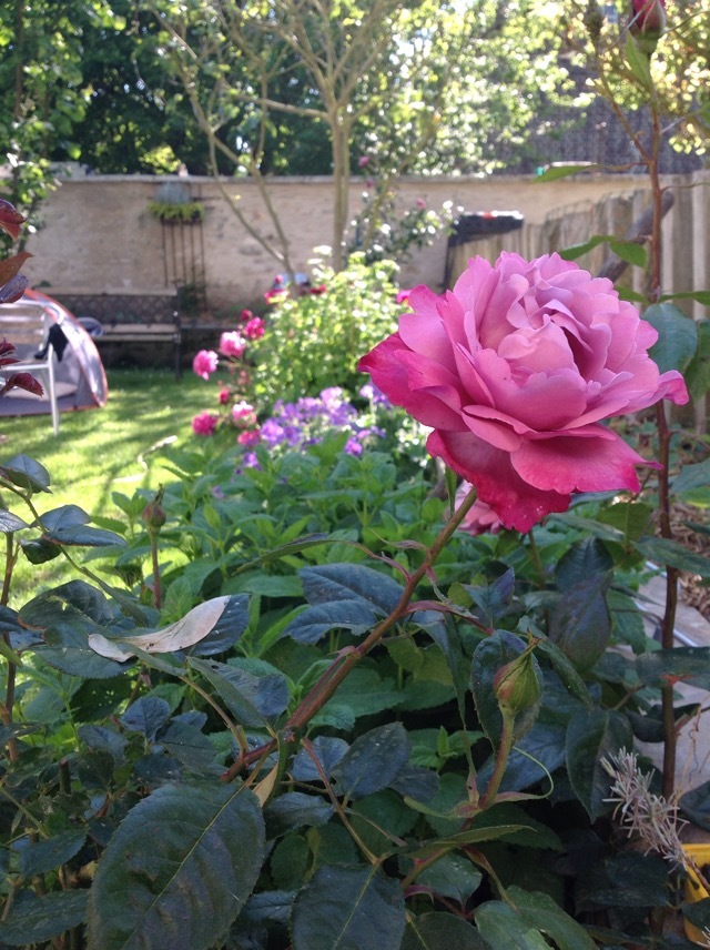 b0069848_04464493.jpeg