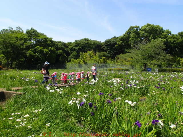 d0105749_13523039.jpg