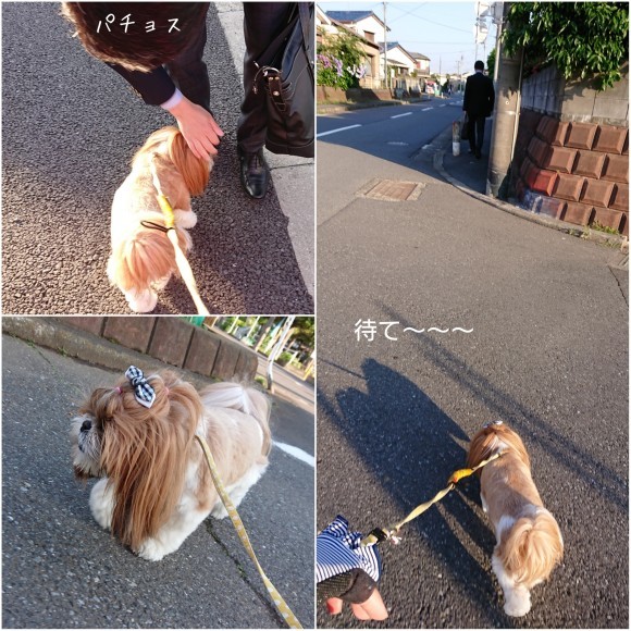 ６月１３日   久々の晴れ_b0306158_14275387.jpg