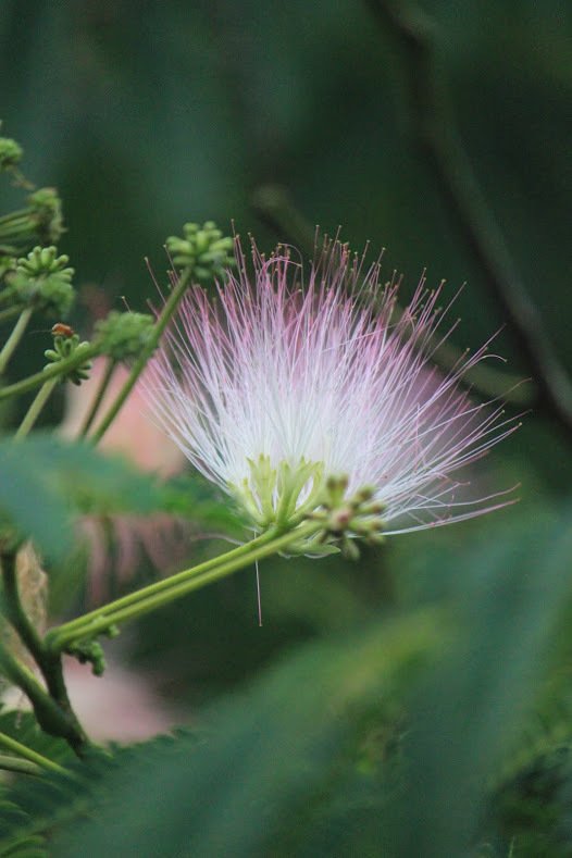 a0248459_14001323.jpg