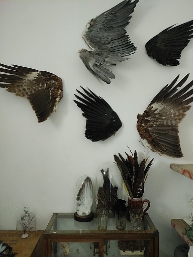 c0172261_08095635.jpg