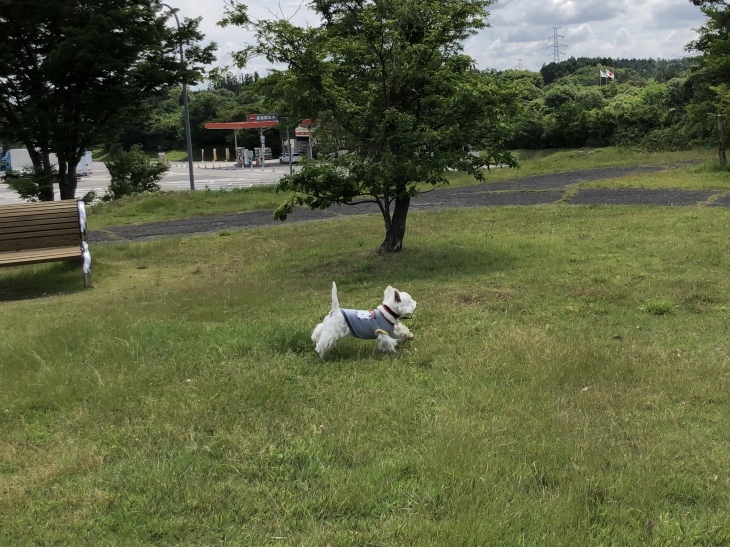 f0363961_05360344.jpeg