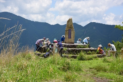 大峯のベニバナヤマシャクヤク　　　　観音峰_c0303868_17494715.jpg