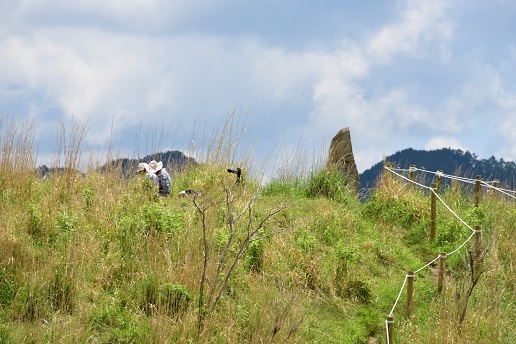 大峯のベニバナヤマシャクヤク　　　　観音峰_c0303868_17501502.jpg