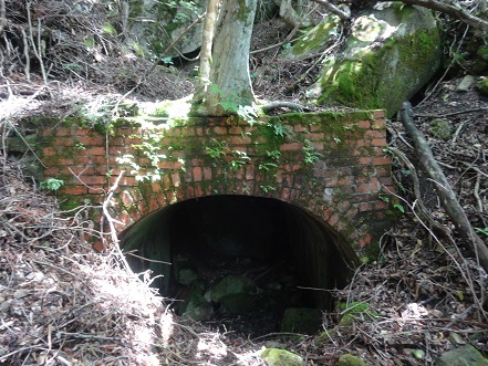 c0303868_17555188.jpg