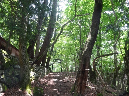 c0303868_17562078.jpg