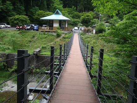 大峯のベニバナヤマシャクヤク　　　　観音峰_c0303868_17591830.jpg