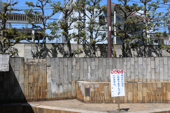 c0001670_19501742.jpg