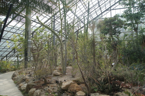 北関東花巡り19 筑波実験植物園 風の通る庭