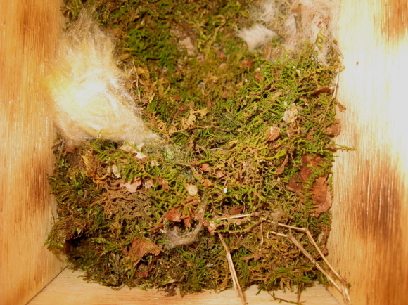 d0262476_04112810.jpg