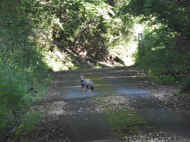 f0378979_16011269.jpg