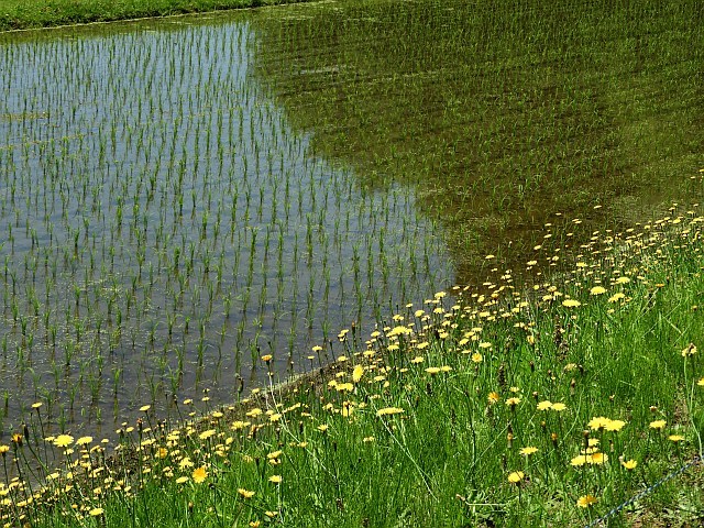 f0378979_16255621.jpg