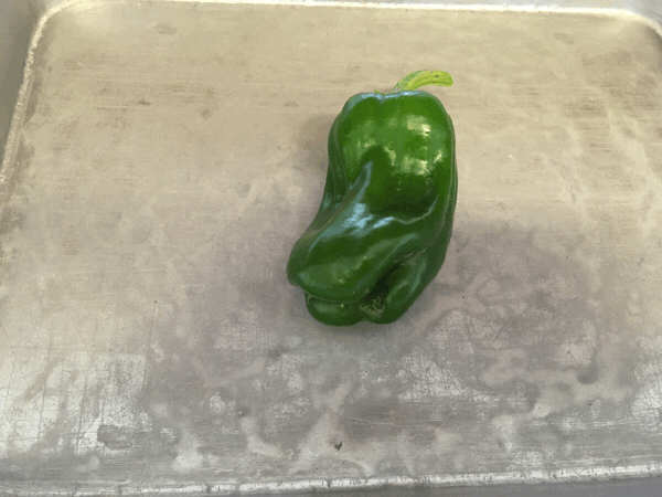 6/13の給食_c0293682_17285670.gif