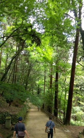 e0154682_01080611.jpg