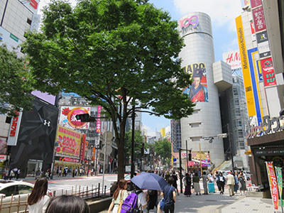 b0056983_11461327.jpg