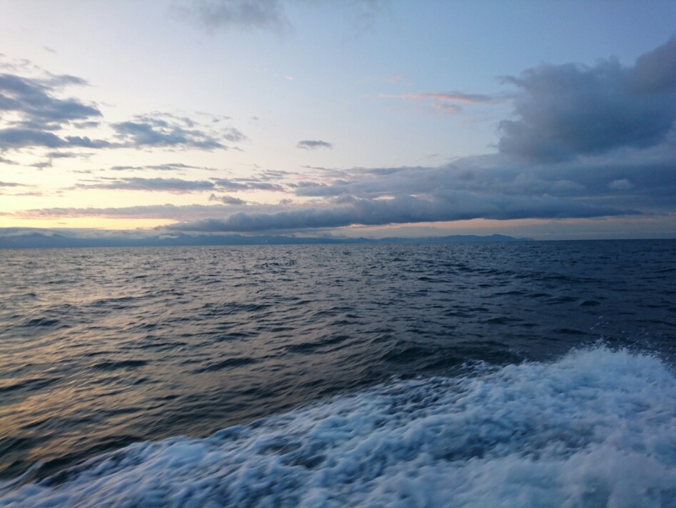 2019年 6月 海釣り_c0176183_18034466.jpg