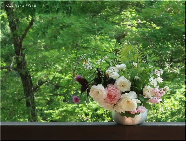 6月の薔薇　父の日に寄せて_d0098183_13250288.jpg