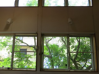 e0130185_9465688.jpg