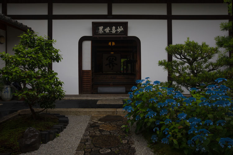 霊源院(建仁寺塔頭)_e0051888_05391859.jpg